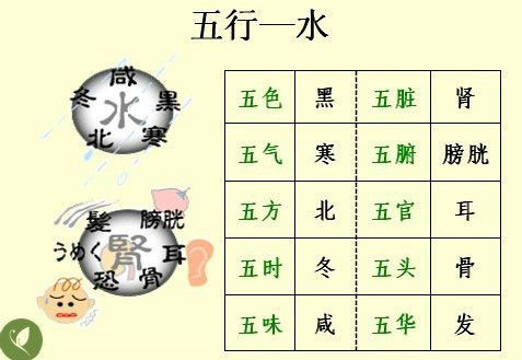 经络,五行图,一起学中医